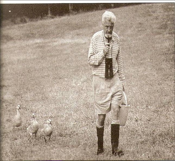 洛伦茨与他的动物朋友