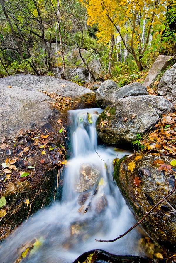 溪水，松山自然保护区。2013-10-13，海拔800m