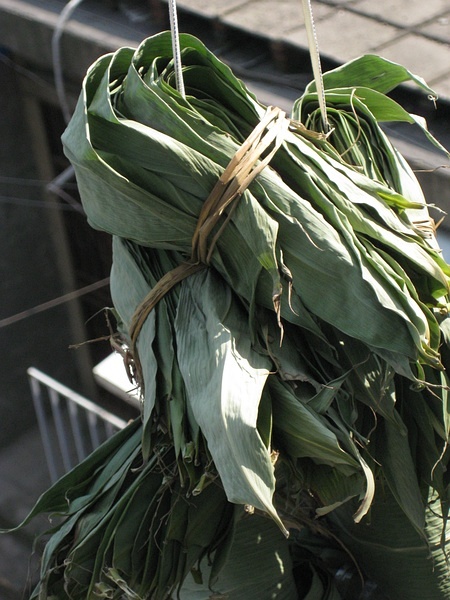 2009年端午，南京，剩下的粽叶，绑起来晒干留待中秋用