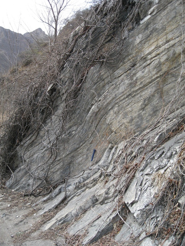 这种褶皱称为挠曲，岩层发生了弯曲，但并没有卷过来