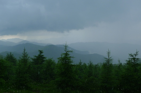 第二场大雨，站在一棵松树后面躲了会雨。短暂的云开，远山显现。