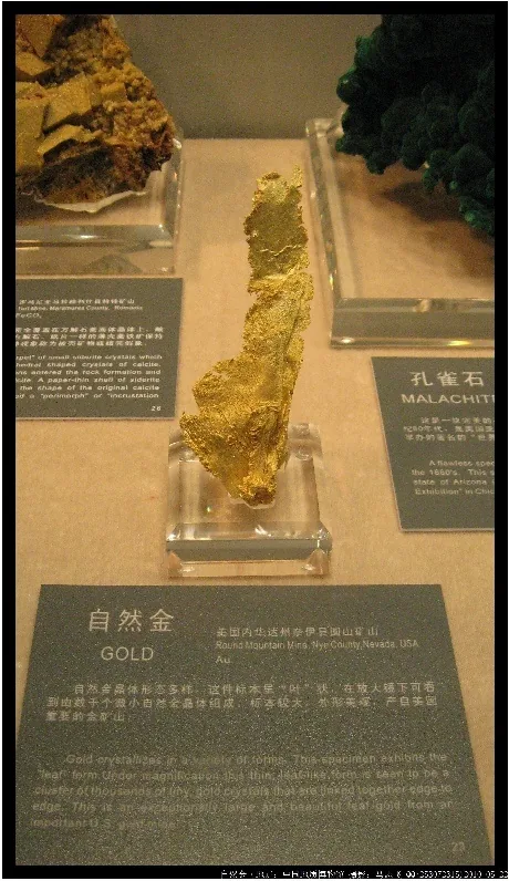 自然金2