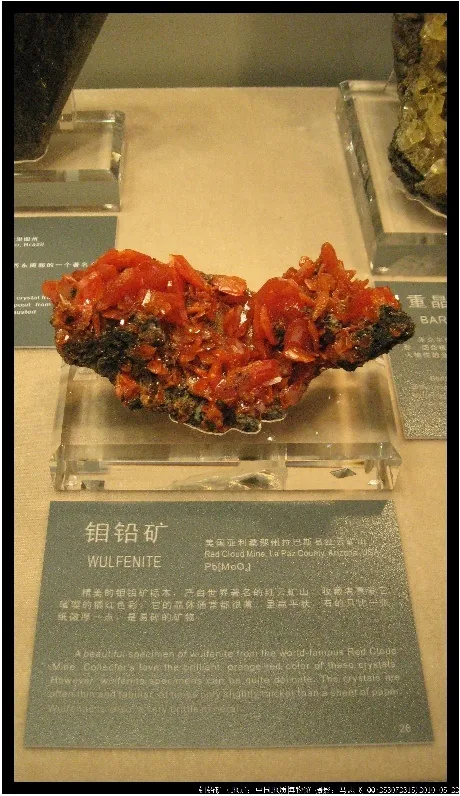 钼铅矿2