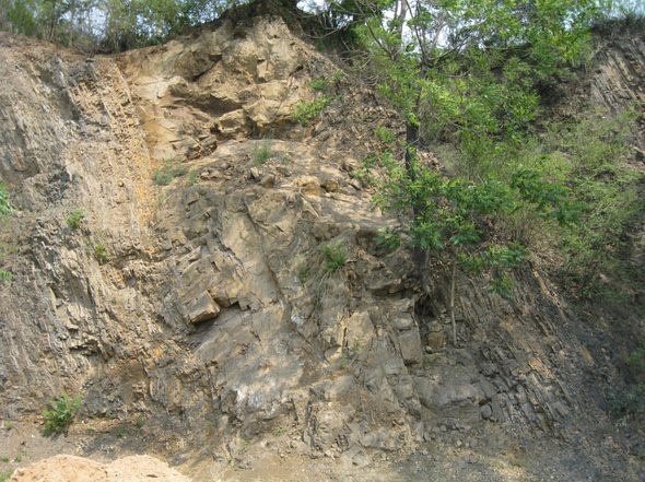 这个是个岩墙，顺层侵入了页岩