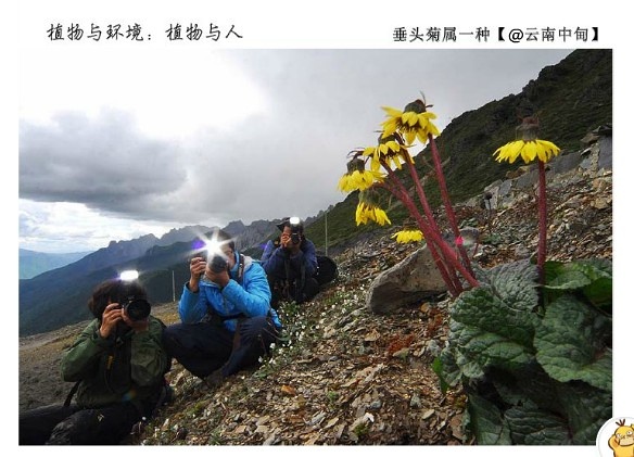 【图】植物和摄影者（供图/天冬）