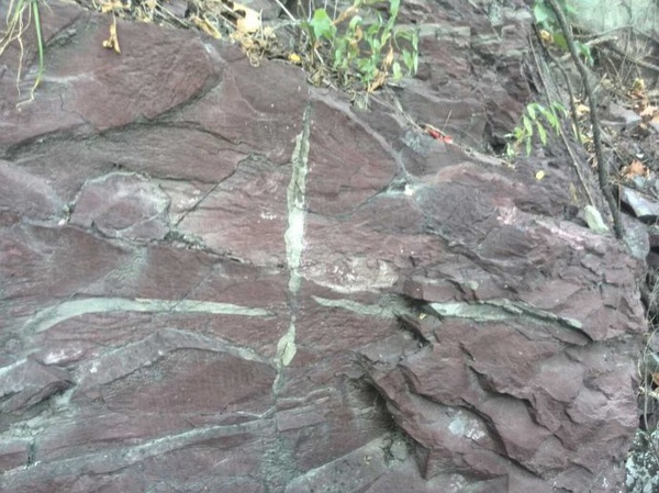 寒武系馒头组紫红色泥岩 供图：小土