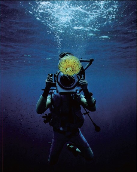 水下摄影 图来自《野生动物当主角》一文