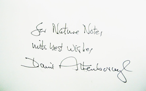 大卫送给自然笔记的签名
