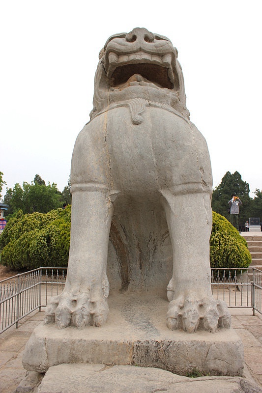 圆润、宽大的胸脯，富有弹性，体现了中国狮子石刻的逐渐成型。