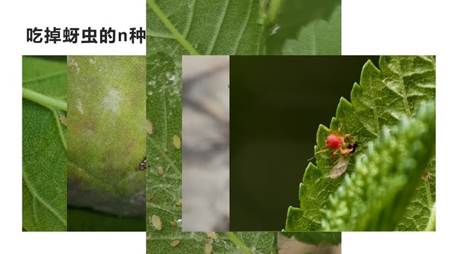 image9